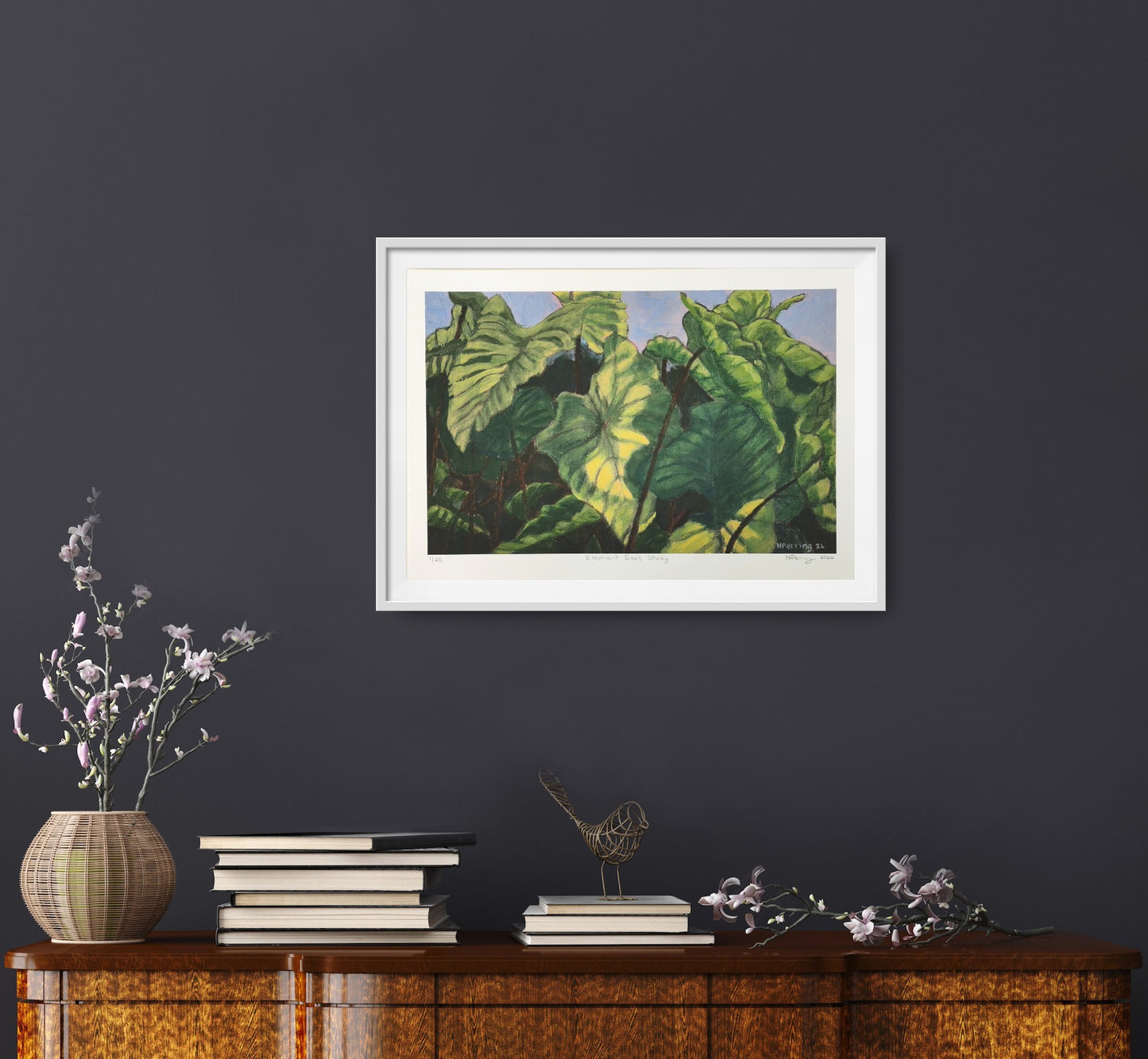 Elephant Ears Study - Limited Edition Print