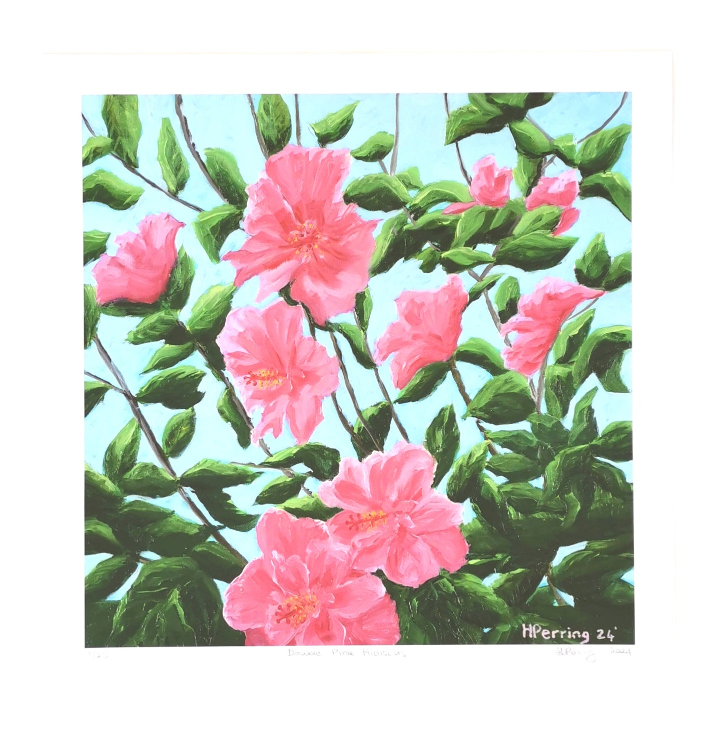 Double Pink Hibiscus - Limited Edition Prints